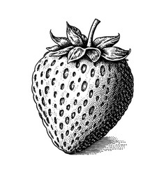 Hand Drawn Strawberry Isolated On White