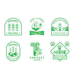 Hemp Farm Badge Design With Farmer