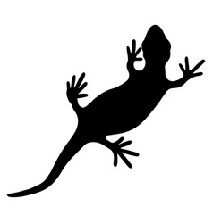 Lizard Reptile Gecko Black Silhouette