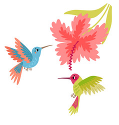 Two Hummingbirds With Flower