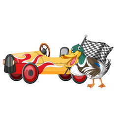 Soapbox Derby Race With Duck