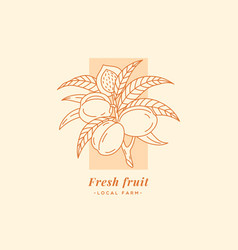 Apricot Label