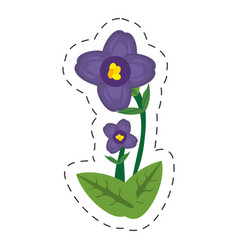 Cartoon African Violet Flower