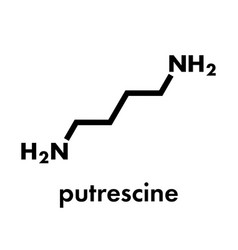 Putrescine Foul Smelling Molecule Skeletal Formula