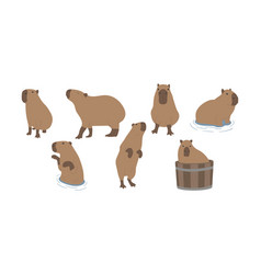 Capybara 3