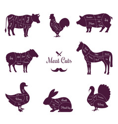 Meat Cuts Poster With Named Animals Body Parts