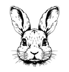 Face Rabbit Portrait