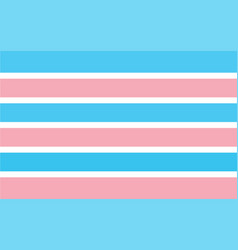 Transsexual Pride Flag Sexual Identity