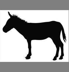 Mule Silhouette Art