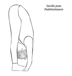 Sketch Of Padahastasana