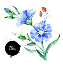 Blue flower flax Royalty Free Vector Image - VectorStock