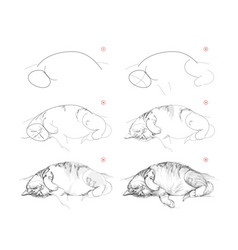 Page Shows How To Learn To Draw Sketch Of Cute