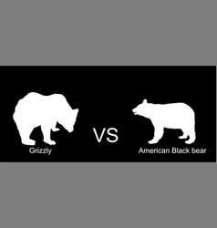 Grizzly Bear Vs American Black Bear Silhouette