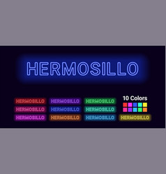 Neon Name Of Hermosillo City