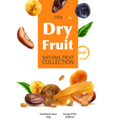 Dry Fruit Realistic