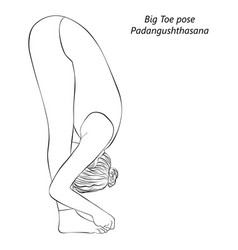 Sketch Of Padangushthasana