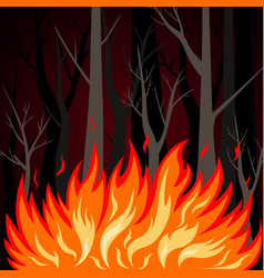 Forest Fire