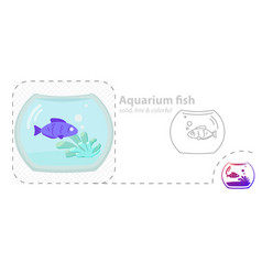 Aquarium Fish Isolated Flat Fish In