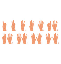 Cartoon Hands Count Gesture Human Wrist Finger