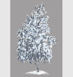 Hand Drawing Of Single Frozen Birch Tree Under