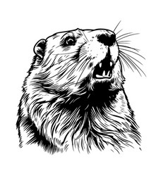 Beaver Head Sketch Hand Drawn