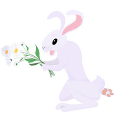 Rabbit With A Bouquet Of Chamomile Flowers