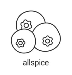 Allspice Pimento Linear Icon