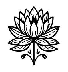 Nymphaea Water Lily Drawings Outline