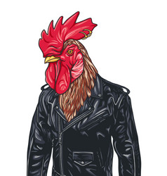 Cool Rooster In Leather Jacket