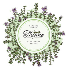 Thyme Food Spices Badge Or Label With Blank Frame