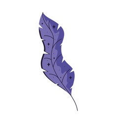 Purple Feather Esoteric Concept