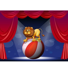 A Lion Performing At The Circus