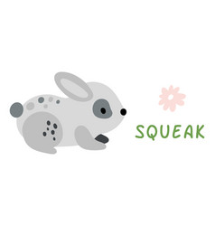 Rabbit Saying Squeak Cute Little Animal Talking