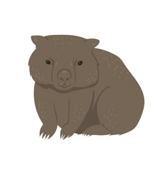 Wombat Isolated On A White Background