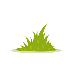 Thick Lush Green Garden Grass Bush