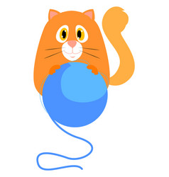 Ginger Cat On White Background