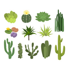 Cactuses Flat Icon Set