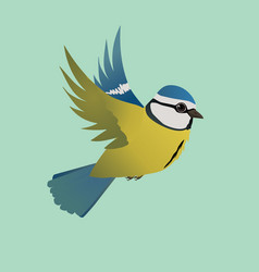 Flying Blue Tit Bird