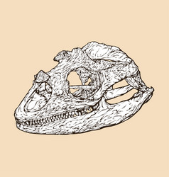 Rhino Iguana Skull Head