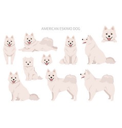 American Eskimo Dog All Colours Clipart Different