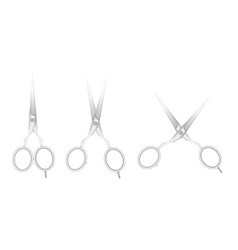 Silver Tone Metal Hairdresser Scissors Template