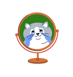 Cute Funny Cat Looking At Mirror Reflection Kitty