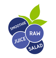 Blueberry Leaf Smoothie Raw Juice Salad Flat