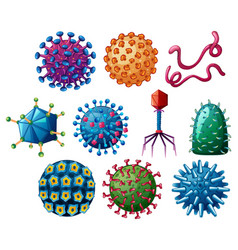 Different Shapes Of Viruses