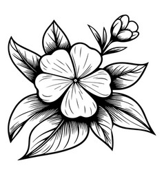 Periwinkle Flower Sketch Clip Art Minimalist