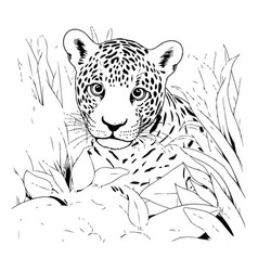 Jaguar In The Jungle Hand Drawn Monochrome Sketch