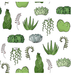 Seamless Pattern Of Succulents And Cacti