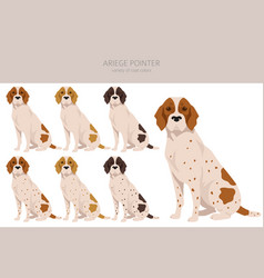 Ariege Pointer Clipart Different Poses Coat