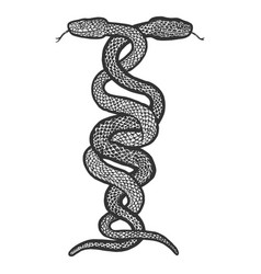 Intertwined Two Snakes Engraving