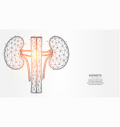 Abstract Polygonal Of Human Kidneys On A Light